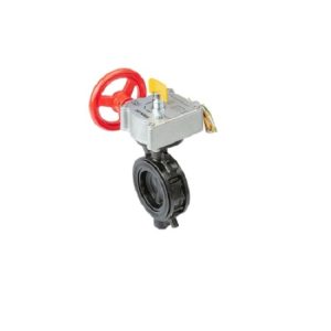 SROVAN İzlənəbilən kəpənək