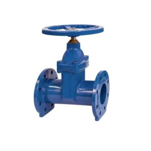 DUYAR DN65 Elastomer Yataqlı Sürgülü ventil GG25 F4 PN16